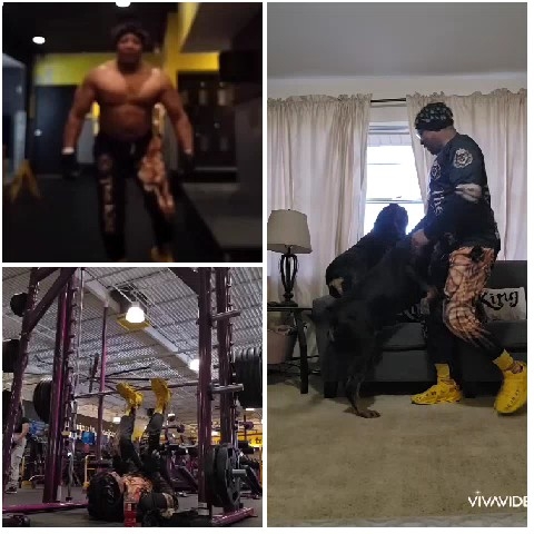 Gym Walking and Fitness Sessions