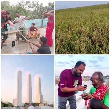 Playful Activity and Agricultural Field