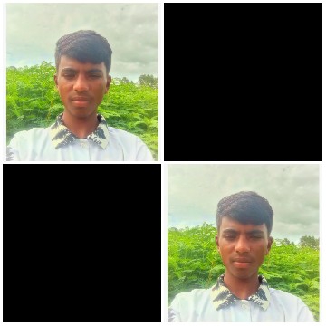 Identical Photos in Green Field