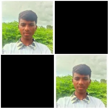 Identical Photos in Green Field