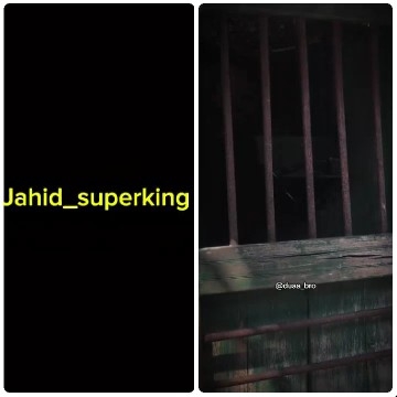 Black Screen with Yellow Text