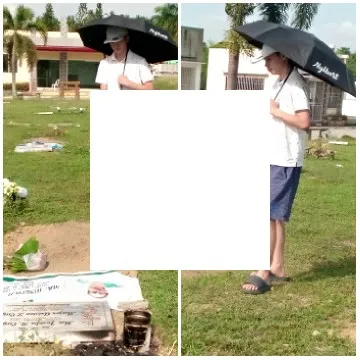 Person Holding Umbrella Outdoors