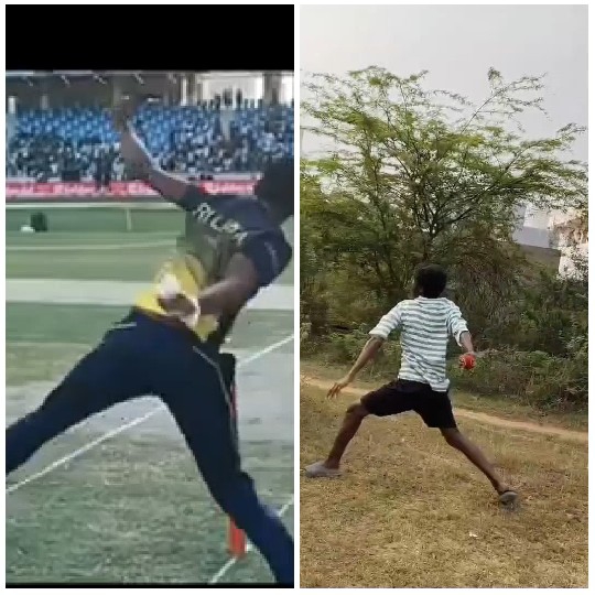 Cricket Action in Two Settings