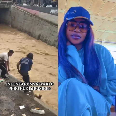 Individuals Helping at Riverbank