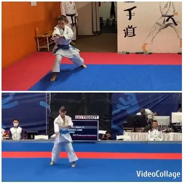 Karate Performance on Mats