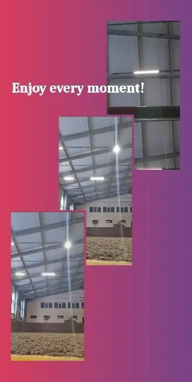Sunlight in Large Building Interior