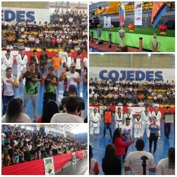 Community Martial Arts Event