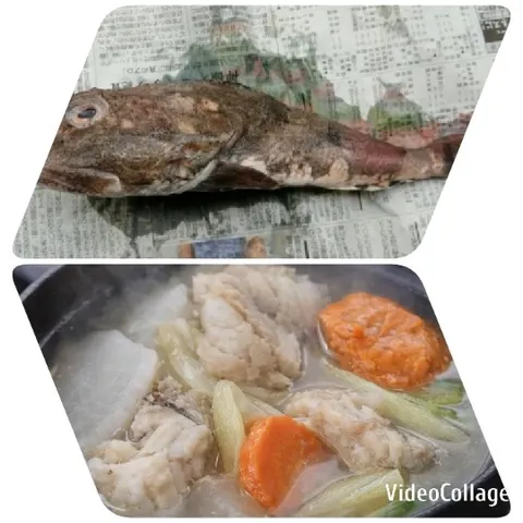 Whole Fish and Cooked Fish Stew