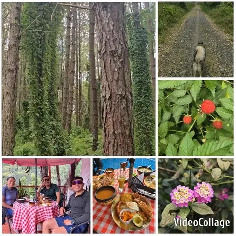 Nature Scenes and People at Table