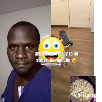 Blue Shirt and Small Dog Together