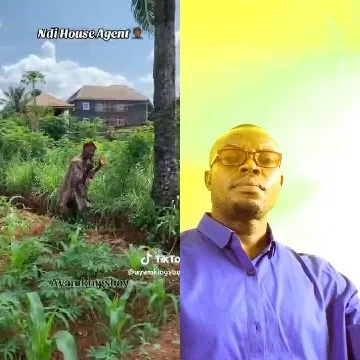 Walking Through A Sunny Garden