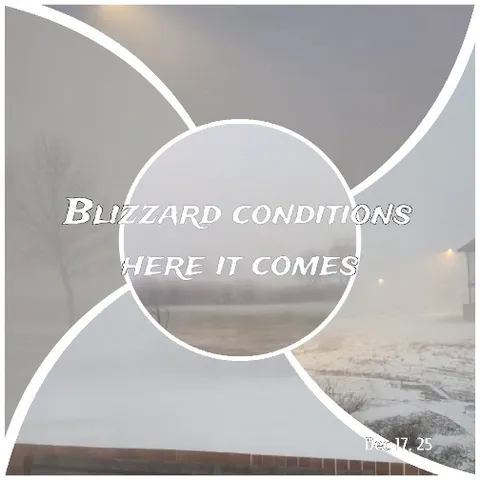 Blizzard Conditions with Snow Coverage