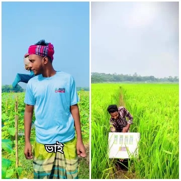 Field Exploration in Agricultural Setting
