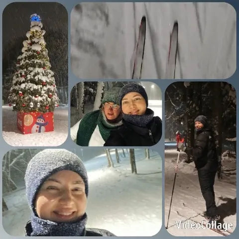 Skiing Joyfully in Winter Wonderland