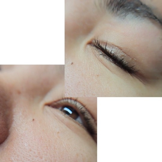 Detailed Views of Eyelashes