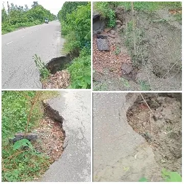 Damaged Road Surrounded by Trees