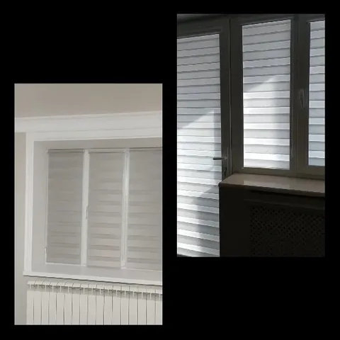 Two Windows with Horizontal Blinds