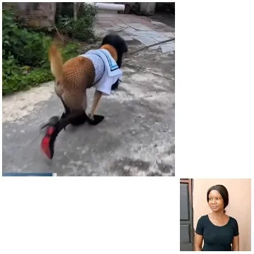 Dog in Outfit Walking Pathway