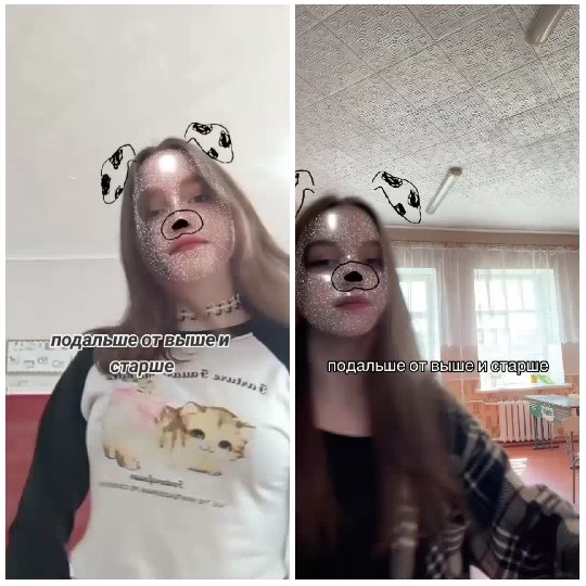 Young Women with Dog Filters Indoors
