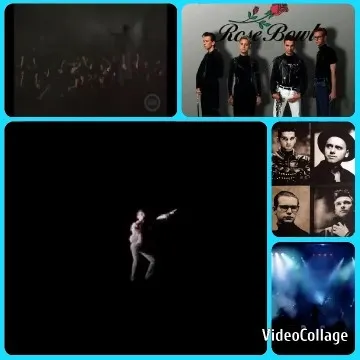 Concert Scene and Performer Highlights