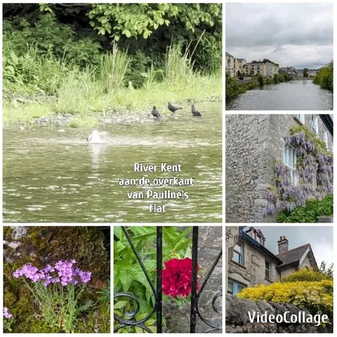Various Nature and Landscape Scenes