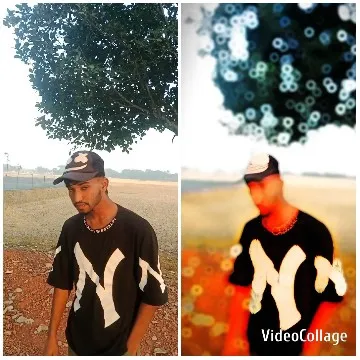 Person in Black T-Shirt Outdoors