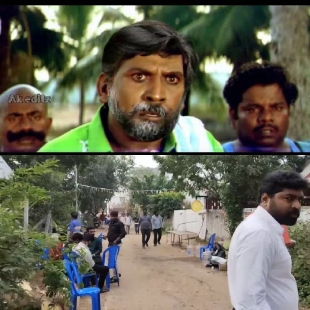 Men Observing Nature Together