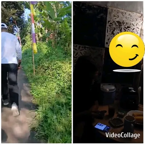 Walking Path with Greenery and Flags