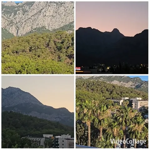 Scenic Views of Mountains and Forests