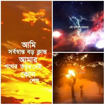 Serene Frames with Bengali Text