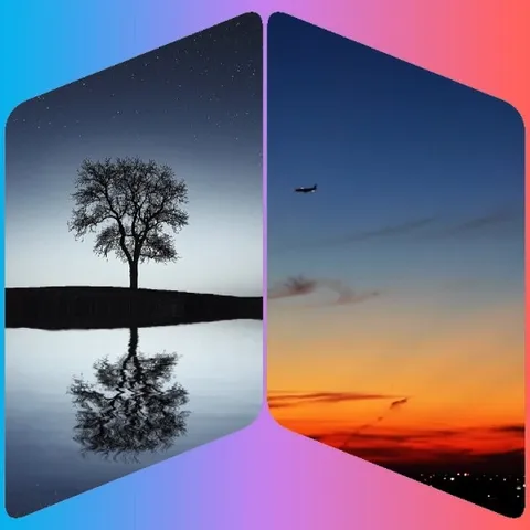 Silhouetted Tree and Vibrant Sky