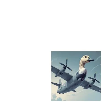 Airplane with Duck Head