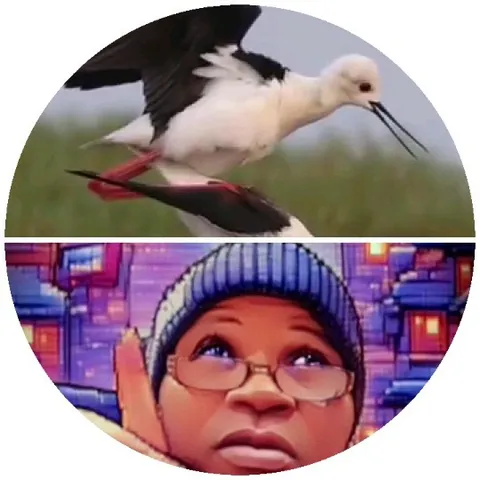 Birds and Illustrated Portrait