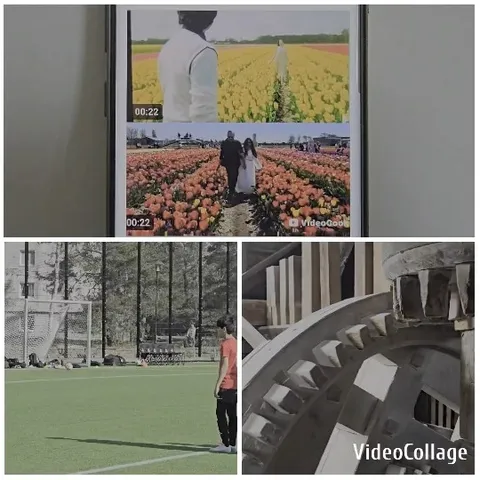 Smartphone Showing Flower Fields and Soccer