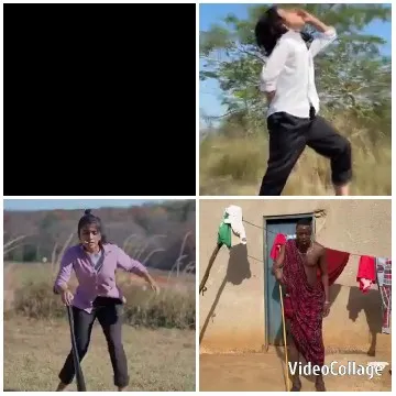 Expressive Movement in Open Field
