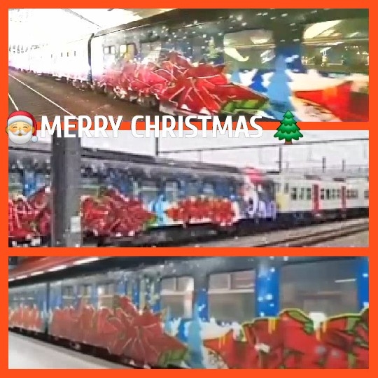 Train Covered in Colorful Graffiti