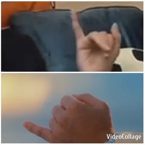 Hands Making Rock On Gesture Outdoors