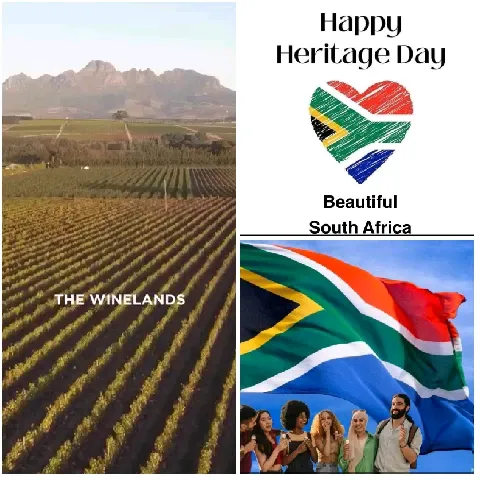 Vineyard and Heritage Day Celebration