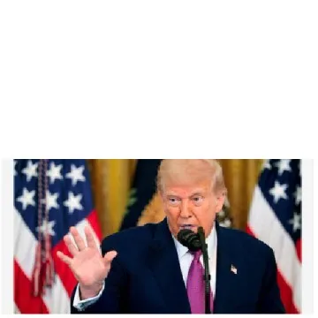 Person Speaking with Flags