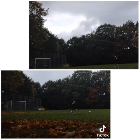 Person Playing Soccer in Autumn Field
