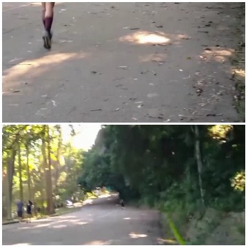 Jogging in Serene Wooded Path