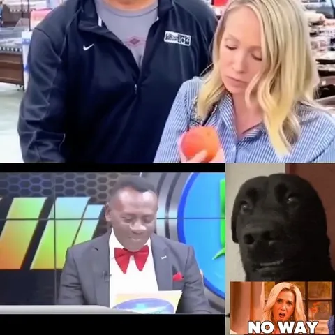 Grocery Store Fruit, Suit Presentation, Dog