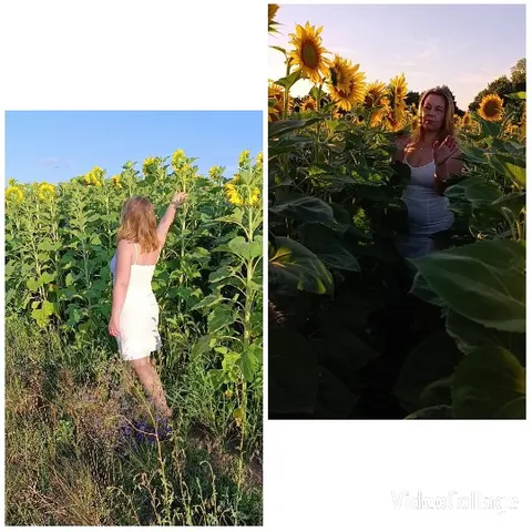 Woman in Sunflower Field
