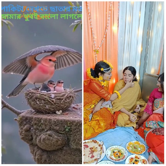Bird with Chicks and Festive Gathering
