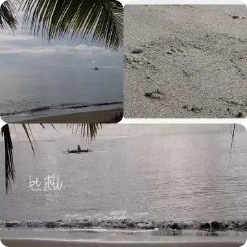 Serene Beach Scenes With Gentle Shoreline