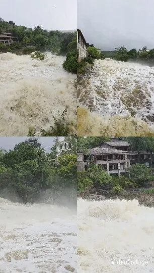 Flooded River Surrounded by Greenery