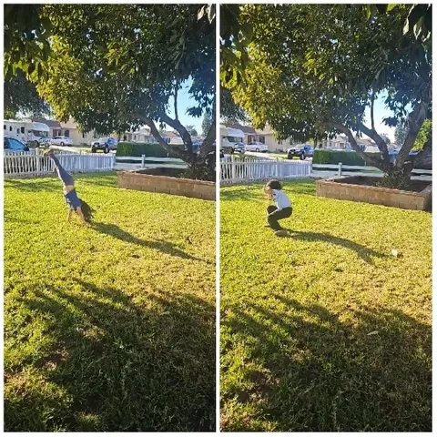 Person Cartwheeling in Grassy Yard