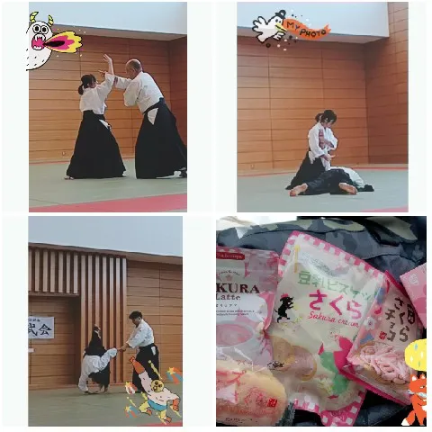 Martial Arts Practice in Dojo