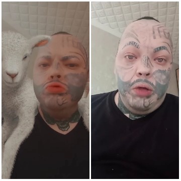 Person with Sheep and Indoor Setting