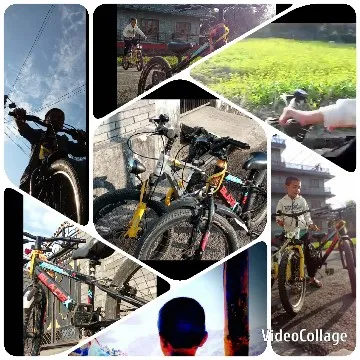 People Riding Bicycles Outdoors